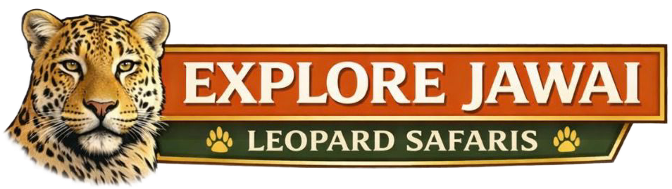 Exlore Jawai leopard safari